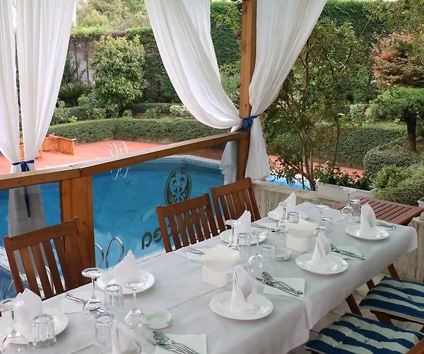 Orchidea 호텔 티라나